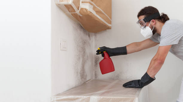 Professional Black Mold Remediation technician working in Rancocas, NJ