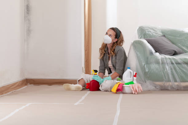 Reliable Black Mold Remediation contractor in Rancocas, NJ by 24 Hour Mold Removal